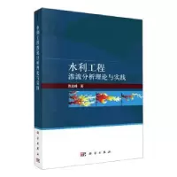 音像水利工程渗流分析理论与实践陈益峰