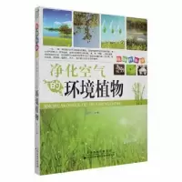 音像净化空气的环境植物谢宇