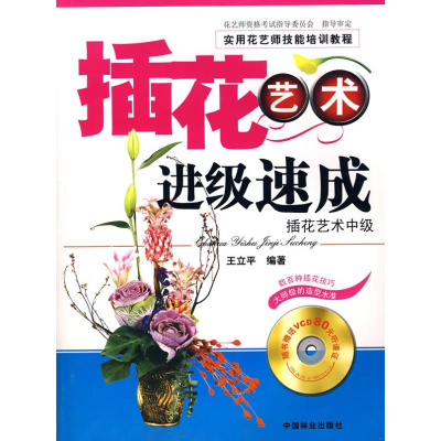 音像插花艺术进级速成—插花技术中级王立平
