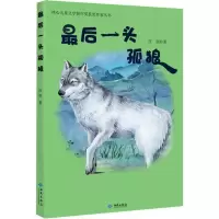 音像头孤狼伍剑