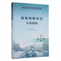 音像民事刑事诉讼实训教程王德新主编
