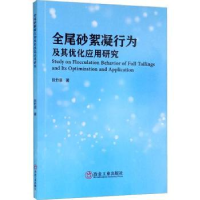 音像全尾砂絮凝行为及其优化应用研究阮竹恩