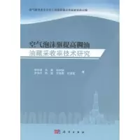 音像空气泡沫驱提高稠油油藏采收率技术研究李华斌