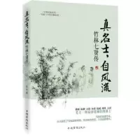音像真名士,自风流:竹林七贤传苏河