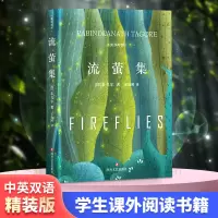 音像流萤集(印)罗宾德拉纳特·泰戈尔(Rabindranath Tagore)
