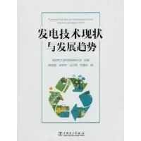 音像发电技术现状与发展趋势杨倩鹏[等]编