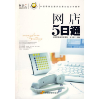音像网店五日通/“阿旺开店”系列丛书祝文欣 主编