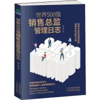 音像世界500强销售总监管理日志陆冰
