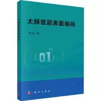 音像太赫兹超表面编码李九生