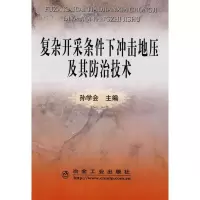 音像复杂开采条件下冲击地压及其防治技术\孙学会孙学会 主编