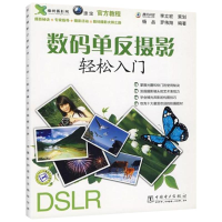 音像数码单反摄影轻松入门杨品//罗伟翔