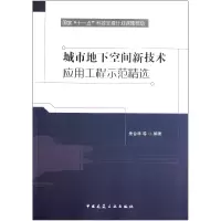 音像城市地下空间新技术应用工程示范精选朱合华