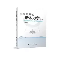 音像我所理解的流体力学(第2版)王洪伟