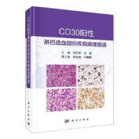 音像CD30阳淋巴造血组织疾病病理图谱(精)刘卫平,王哲