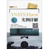 音像ANSYS Fluent实例详解胡坤 等