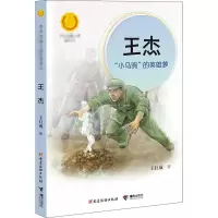 音像王杰 