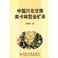 音像中国川北甘南类卡林型金矿床孙树浩??著