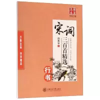 音像华夏万卷宋词三百精(行书)田英章