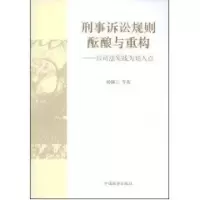 音像刑事诉讼规则酝酿与重构--以司法实践为切入点杨佩正