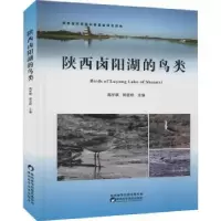 音像陕西卤阳湖的鸟类(精)高学斌,杨亚桥主编