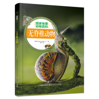 音像无脊椎动物西班牙Sol90公司