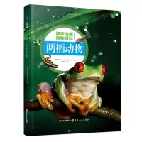 音像两栖动物西班牙Sol90公司