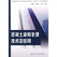 音像混凝土缺陷处理技术及应用马建革,潘志新,马伟 主编
