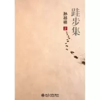音像跬步集孙祁祥
