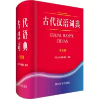 音像古代汉语词典 双色版汉语大字典编纂处