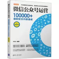 音像公众号运营 100000+软文内容速成(第2版)叶龙