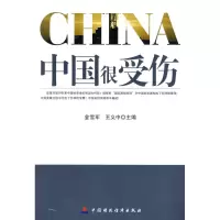 音像中国很受伤金雪军,王义中 主编