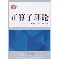 音像正算子理论杨长森、左红亮、李海英著