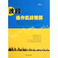 音像波段操作实战精解/理财学院大智慧系列雷冰