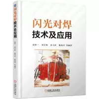 音像闪光对焊技术及应用高世一