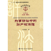 音像刑事诉讼中的财产权保障/诉讼法学文库2009朱拥政