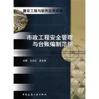 音像市政工程安全管理与台账编制范例王云江 等主编