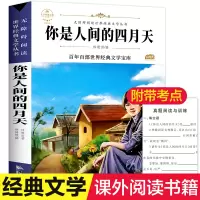 音像你是人间的四月天林徽因