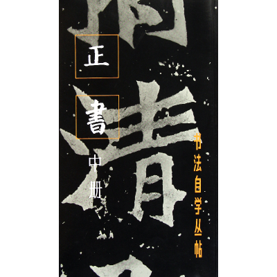 音像正书(中册)/书法自学丛帖上海书画出版社