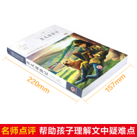 音像苦儿流浪记(法)埃克多·马洛