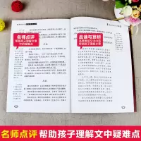 音像飞鸟集(印)泰戈尔