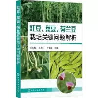 音像豇豆菜豆荷兰豆栽培关键问题解析何永梅