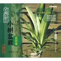音像在家种小树盆栽真简单谢雨芳 著