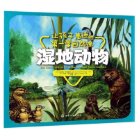 音像湿地动物/让孩子着迷的堂自然课