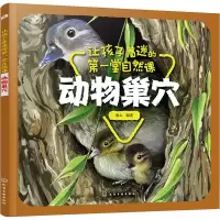 音像让孩子着迷的堂自然课 动物巢穴童心