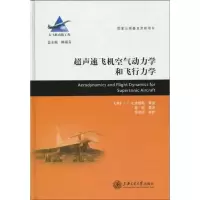 音像超声速飞机空气动力学和飞行力学/大飞系列(俄国)比施根斯 等