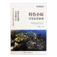 音像特色小镇开发运营指南林峰著