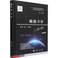 音像敏捷卫星赵键,杨芳