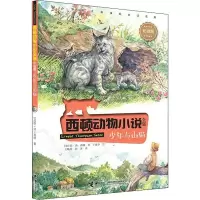 音像少年与山猫(加)欧·汤·西顿(Ernest Thompson Seton)