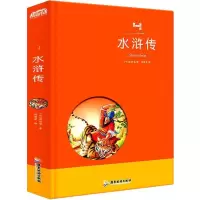 音像水浒传 彩绘注音版胡媛媛 编