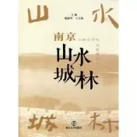 音像南京山水城林杨新华,王宝林